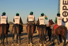 В Казахстане стартовал конный марафон "Ұлы дала жорығы"