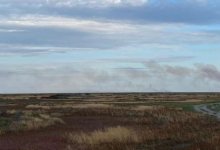 На побережье Каспия горят гектары тростника, тушение невозможно