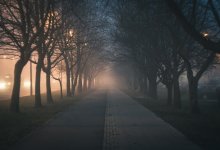 Туманы, грозы, заморозки - над Казахстаном обширный антициклон