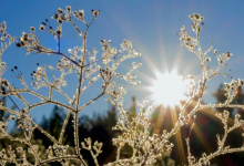 На большей части Казахстана объявлено штормовое предупреждение на вторник