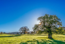 Стабильная погода без осадков сохраняется на большей части Казахстана