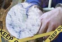 Смерть во время чистки колодца: кто виноват в гибели рабочего в Петропавловске