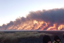 Вездеход, отправленный тушить пожар в природном резервате около Атырау, сгорел