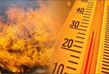 В шести областях Казахстана сохраняется высокая пожарная опасность