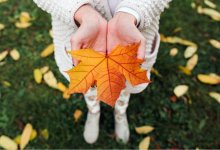 Без осадков, но с опасностью пожара: погода в Казахстане на 22 сентября