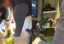 Астанчанина задержали с крупной партией марихуаны из Индии