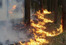 Череда пожаров накрыла Казахстан: кто виноват и что делать?