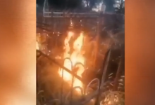 Местные жители подозревают детей в поджоге кладбища в Актобе