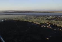 Спустя несколько дней горящий близ Атырау камыш полностью потушили