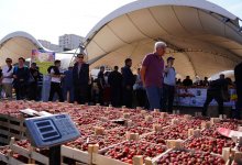 Почти 220 тонн продукции привезли на ярмарку в столице предприниматели двух регионов