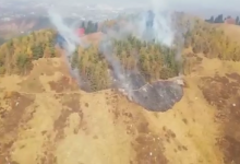 Более 100 человек тушили пожар в урочище Кок-Жайлау