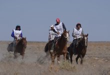 Новый рекорд: всадники Жамбылской области прошли 100 км за семь часов