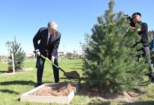 Токаев принял участие в посадке деревьев в Туркестанской области