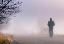 Пропавшего две недели назад в Шымкенте парня нашли у арыка в соседней области