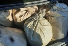 10 мешков с марихуаной обнаружили в машине кызылординца