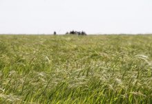 Во благо родного села