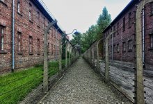 Труд – путь к исправлению