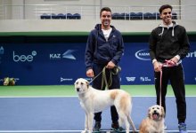 Участники турнира Astana Open приняли участие в акции помощи бездомным животным