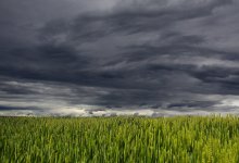 Погода без осадков установится на большей части Казахстана