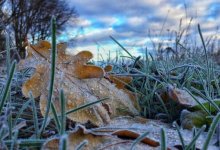 Заморозки и порывистый ветер ожидаются на западе и юге Казахстана