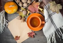 Погоду без осадков прогнозируют синоптики в Казахстане