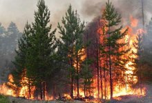 Пожары в Костанае: в бездействии и коррупции обвинили МЧС РК