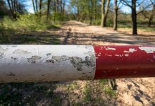 Пункт пропуска на казахстанско-узбекской границе закроют на один день