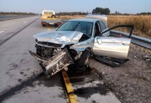 Домашний осел спровоцировал смертельную аварию на трассе в Жетысуской области