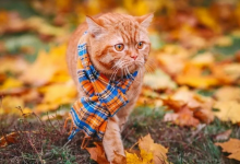 В предстоящие выходные в Казахстане ожидаются дожди и снег