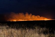 Пожар разгорелся в поселке под Астаной