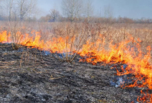 О ликвидации части пожаров в ВКО сообщили в ДЧС