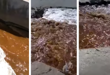 Сливы грязной воды в Каспий прокомментировали в департаменте экологии Мангистау