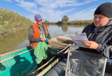 Ущерб на 220 миллионов предотвратили пограничники на Каспии