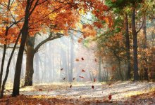 Сухо и тепло будет на большей части Казахстана