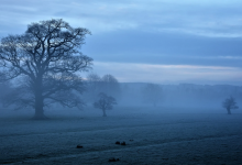 Нанесшего травмы бывшей сожительнице мужчину нашли повешенным в селе ВКО