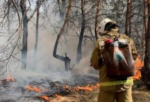 Сентябрьские пожары в Костанае: 62 млн выделили на увеличение зарплат лесникам