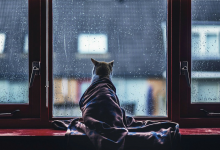 Дожди и потепление прогнозируют синоптики в начале недели в Казахстане