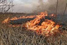 Жители Коянды подозревают охотников в поджоге травы, в котором погиб один человек