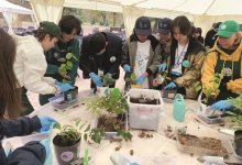 “Быть ботаником – круто”: как казахстанские школьники выбирают науку о растениях