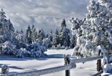 Какой будет зима в Казахстане, рассказали синоптики