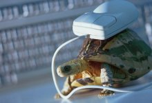 Штраф за некачественный Интернет в Казахстане увеличен в 10 раз