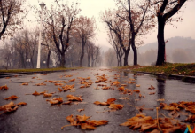 На большей части Казахстана ожидается похолодание и дожди