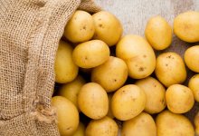 Импорт картофеля впервые за последние годы в РК превысил экспорт