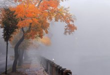 В десяти областях и Астане объявили штормовое предупреждение