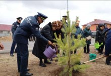 Одной из улиц Астаны присвоено имя погибшего пожарного