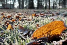 От тумана до метели: погода в Казахстане на 22 октября