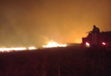 Крупный пожар локализован в Абайской области