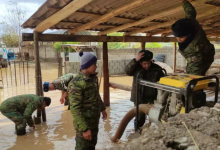 Затопило скот и дворы из-за сильных дождей в Туркестанской области