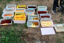 11 международных наркоканалов ликвидировали в Казахстане за четыре месяца