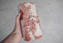 Едва не убившего кирпичом собаку мужчину судили в Караганде